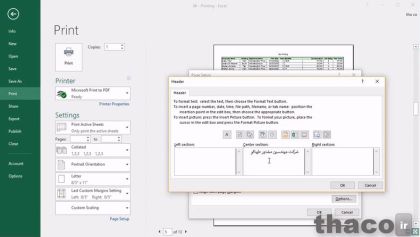 Working with Page Setup and printing controls