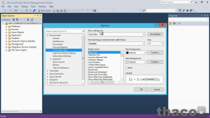 Basics of SQL Server Management Studio