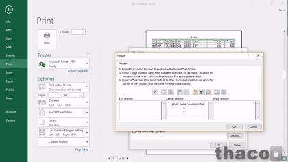 Working with Page Setup and printing controls