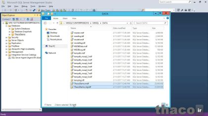 Creating a database