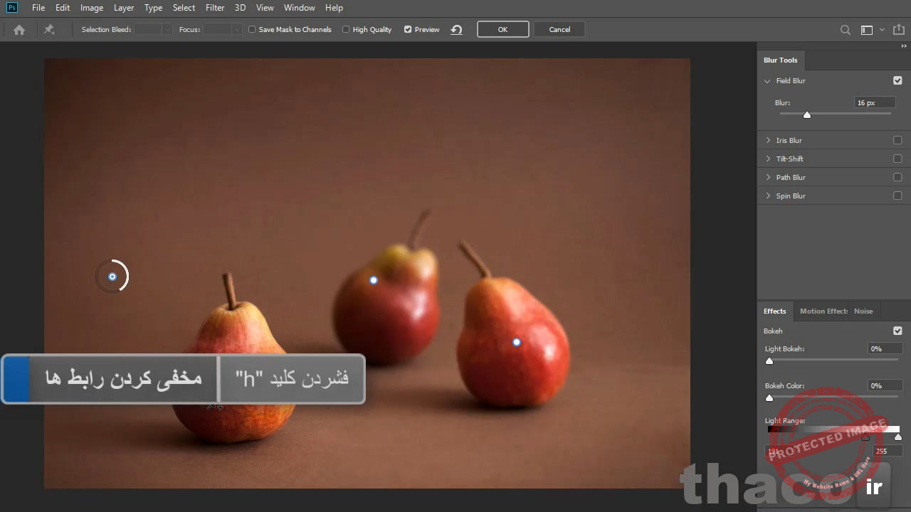 Tilt Shift and Iris and Field blur effects