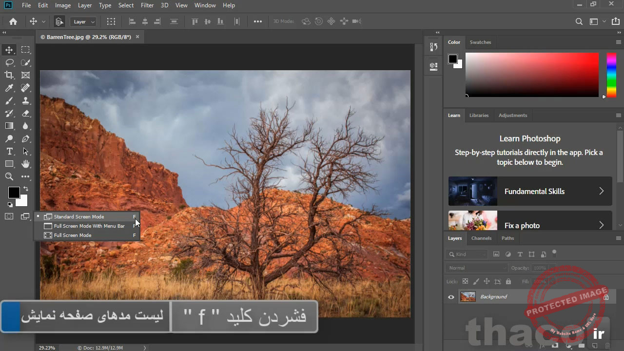 Viewing with different screen modes
