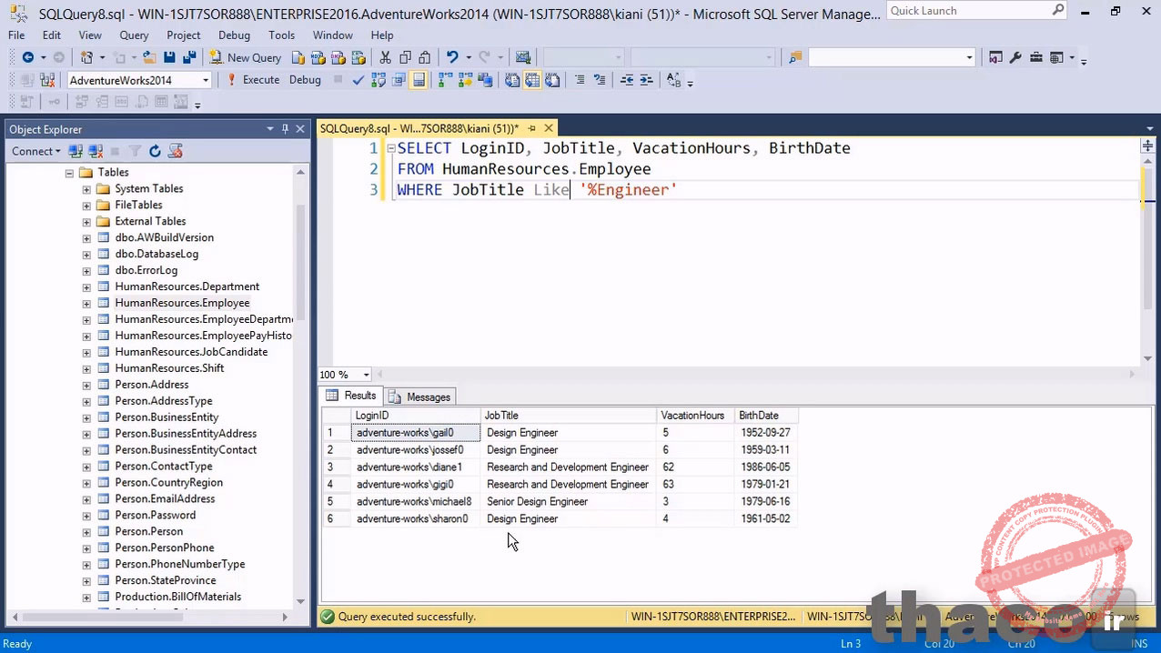 Using wildcards in a WHERE clause
