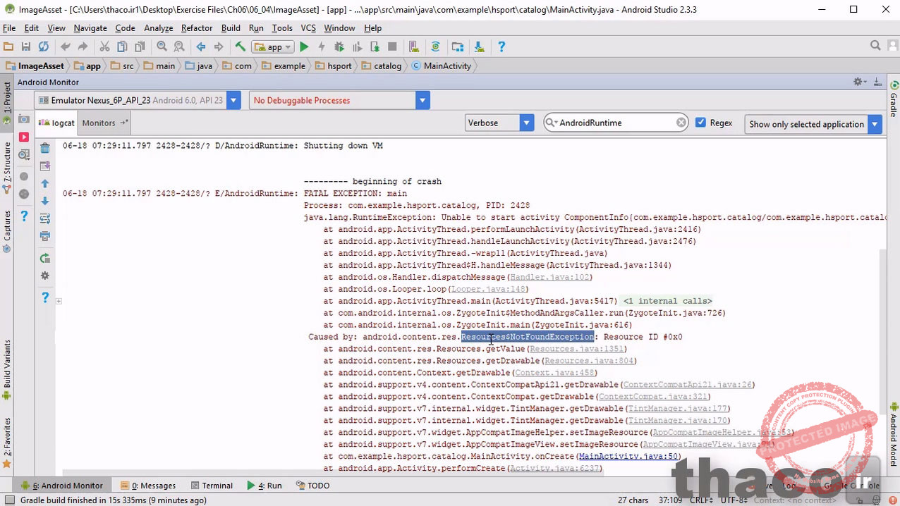 display images from the assets folder