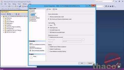 Auditing logins