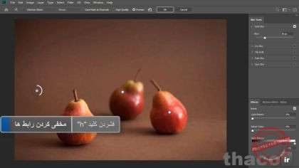 Tilt Shift and Iris and Field blur effects