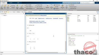 Working with MATLAB variables