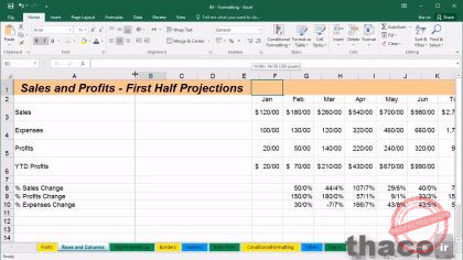 adjusting row heights and column widths