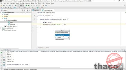 Declaring and initializing numeric primitives