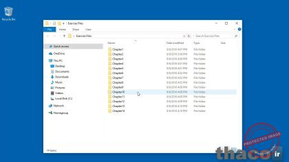 Using the exercise files