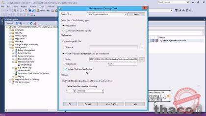 Adding a cleanup task to a maintenance plan