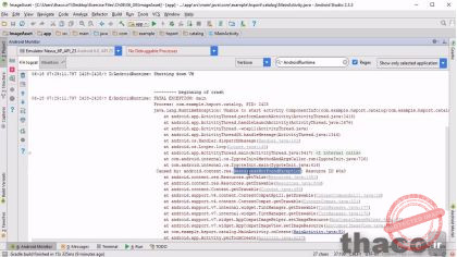 display images from the assets folder