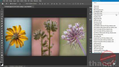 Using a color lookup table to unify images
