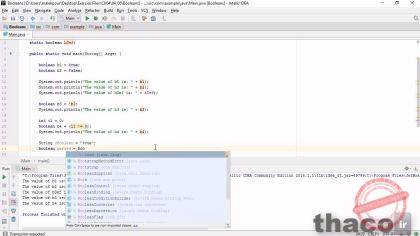 working with Boolean values and expressions