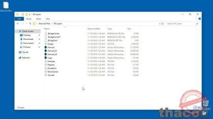 Using the exercise files
