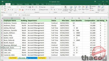 Using the exercise files Excel Course