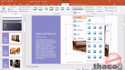 Formatting and adding effects to pictures