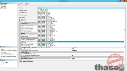 Advanced options of database configuration