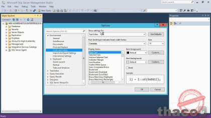 Basics of SQL Server Management Studio