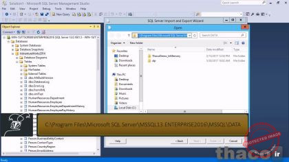 Exporting data
